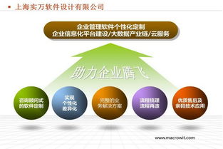 實萬定制版稱重標(biāo)簽條碼打印軟件在企業(yè)管理中的關(guān)鍵作用與咨詢建議